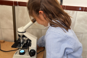 Alumna mirando en el microscopio Alumna mirando en el microscopio